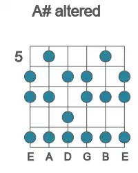 Guitar scale for A# altered in position 5